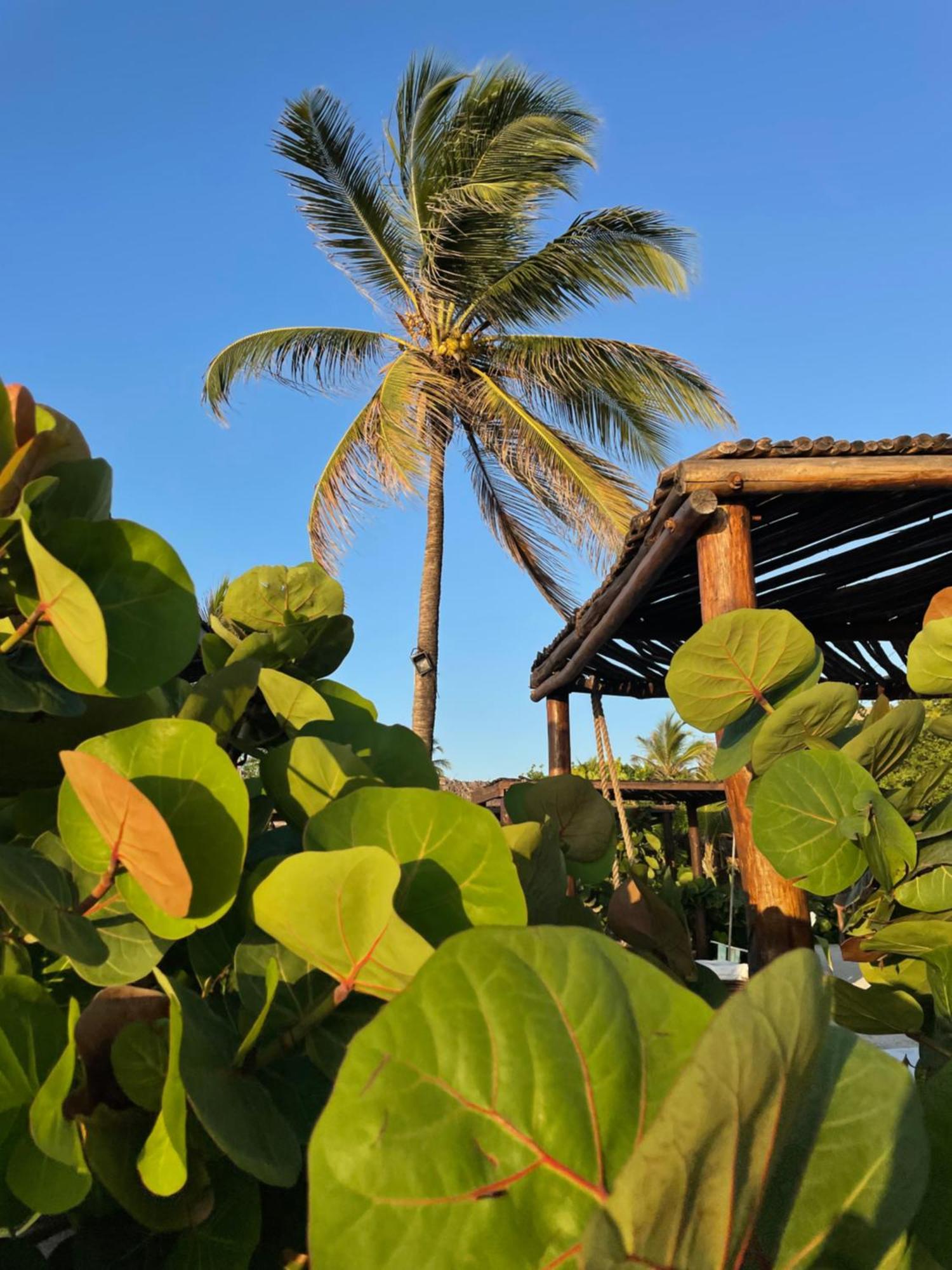 Namaste Beach Club & Hotel Playa de Punta Arena Ngoại thất bức ảnh